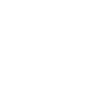Omnis Memoria